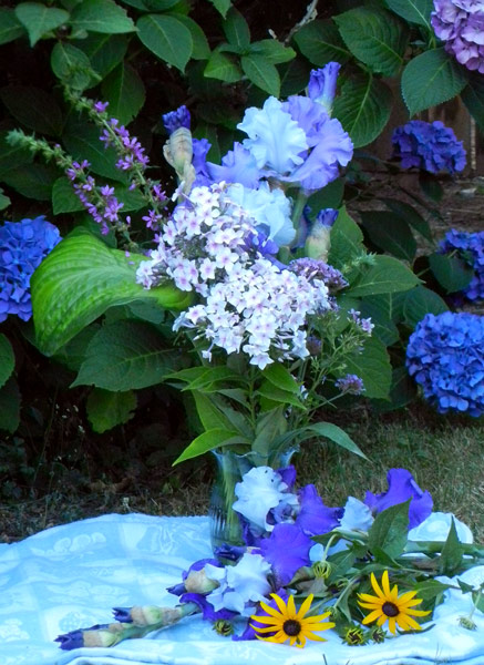 October Sky (in vase) and Best Bet (on cloth) with Phlox, Verbena, Hosta and Rudbeckia 